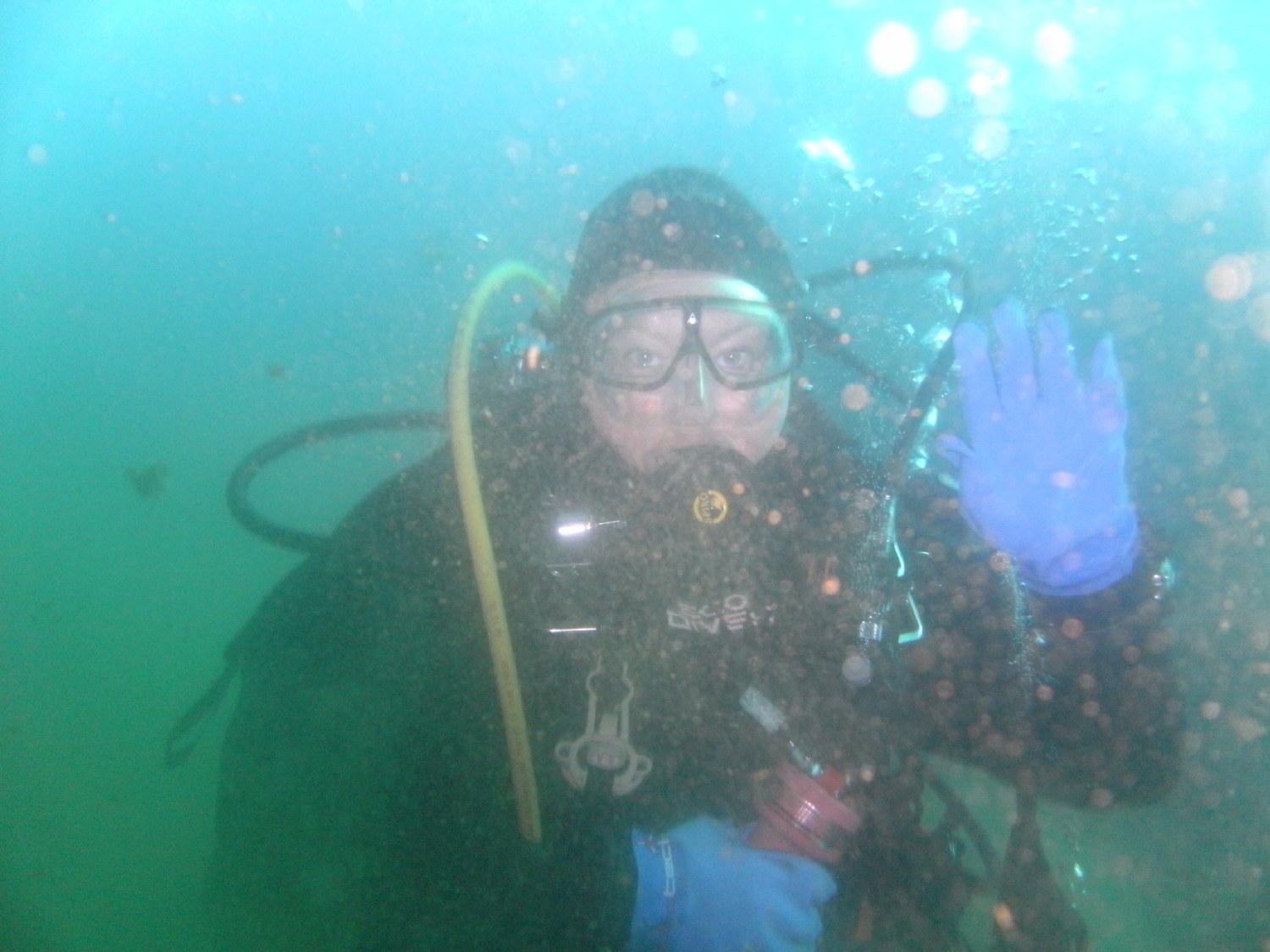 Julz diving